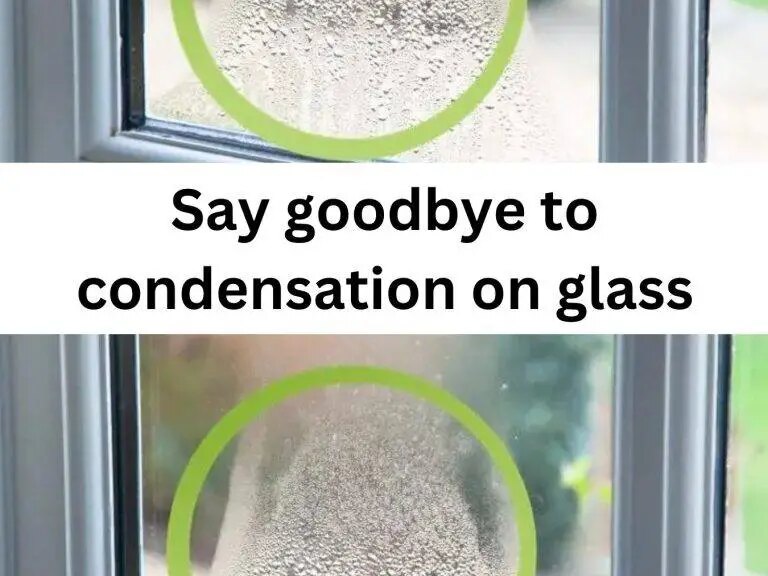 Say Goodbye to Window Condensation with These Simple Tricks!