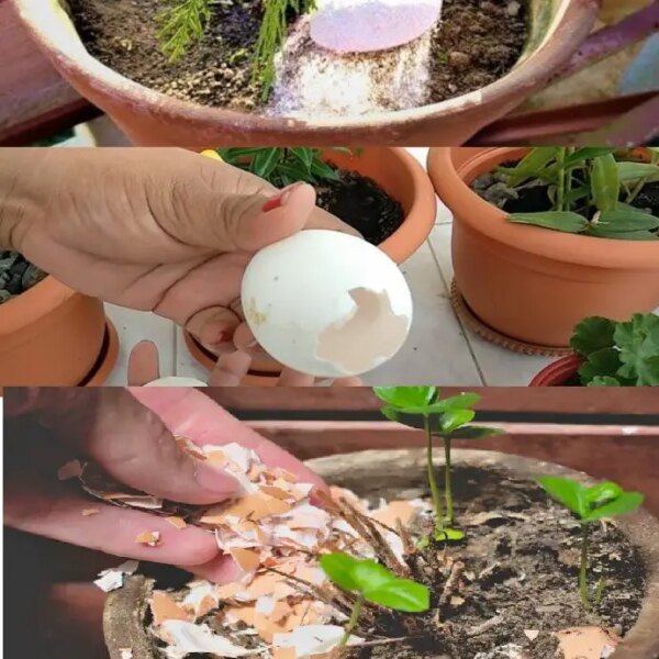 15 Brilliant Uses of the Hue Boxes in the Home and the Garden