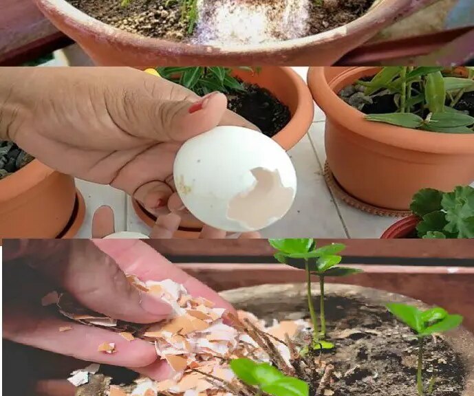 15 Brilliant Uses of the Hue Boxes in the Home and the Garden