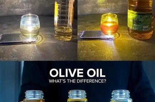 How to Spot Fake Olive Oil Before It Hits Your Table!