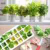 Never Let Your Fresh Herbs Wilt Again—These Genius Tricks Really Work!