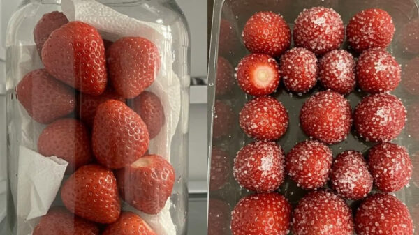 You’ll Never Guess How to Keep Strawberries Fresh ALL YEAR – Genius DIY Hack!