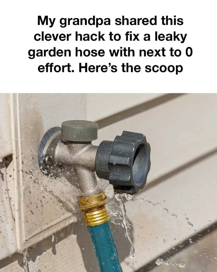 The Genius Hose Hack My Grandpa Swore By — Why Didn’t I Know This Sooner?