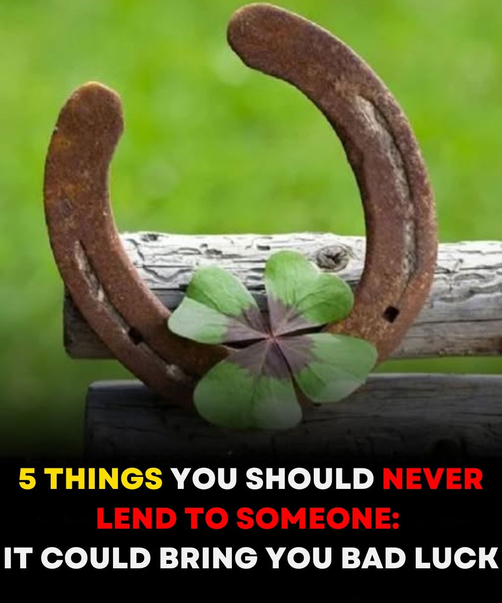 5 Things You Should Never Lend—Unless You Want to Risk Bad Energy