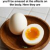 You’ll Be Shocked by What Happens When You Eat 3 Whole Eggs Every Single Day