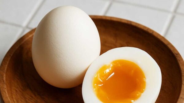 You’ll Be Shocked by What Happens When You Eat 3 Whole Eggs Every Single Day