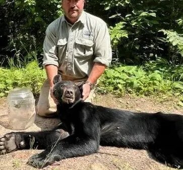 Trapped for 2 Weeks With a Jar on Her Head, This Young Bear’s Rescue Will Restore Your Faith in Humanity