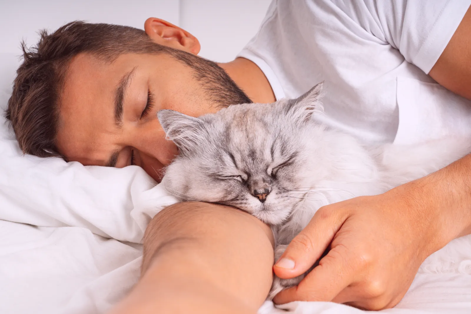https://www.news.viralsavage.com/wp-content/uploads/2026/01/2217511-sleeping-man-cuddling-sleeping-cat.jpg
