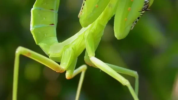 What People Believe It Means