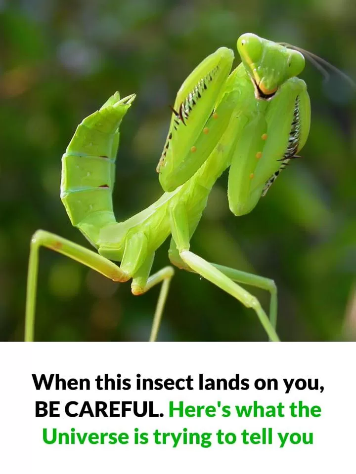 What People Believe It Means