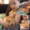 Little Girl Sings “You Are My Sunshine” to Her Dying Cat in a Final Goodbye