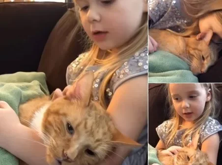 Little Girl Sings “You Are My Sunshine” to Her Dying Cat in a Final Goodbye