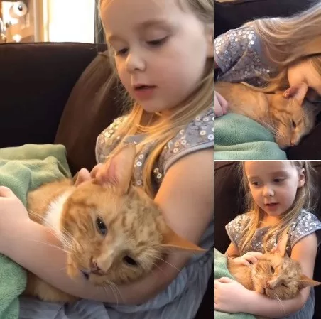 Little Girl Sings “You Are My Sunshine” to Her Dying Cat in a Final Goodbye