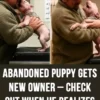 Abandoned Puppy Gets New Owner and Realizes It’s the Man Who Saved Him