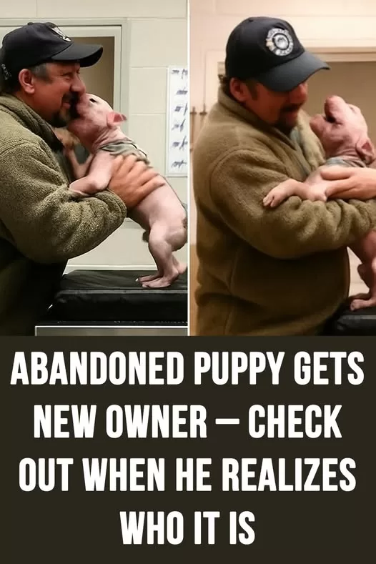 Abandoned Puppy Gets New Owner and Realizes It’s the Man Who Saved Him