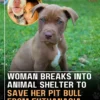 Woman Breaks Into Animal Shelter to Save Her Pit Bull From Euthanasia