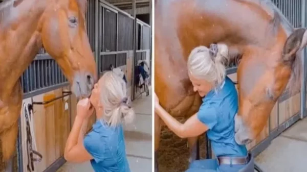 A Young Woman Was Rushed to the Hospital After Suffering a Severe Injury