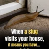 Why Slugs Deserve More Credit Than You Think