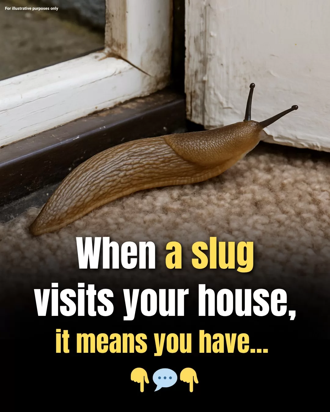 Why Slugs Deserve More Credit Than You Think