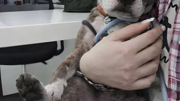 When Violence Tries to Break a Soul, and Love Refuses to Let It