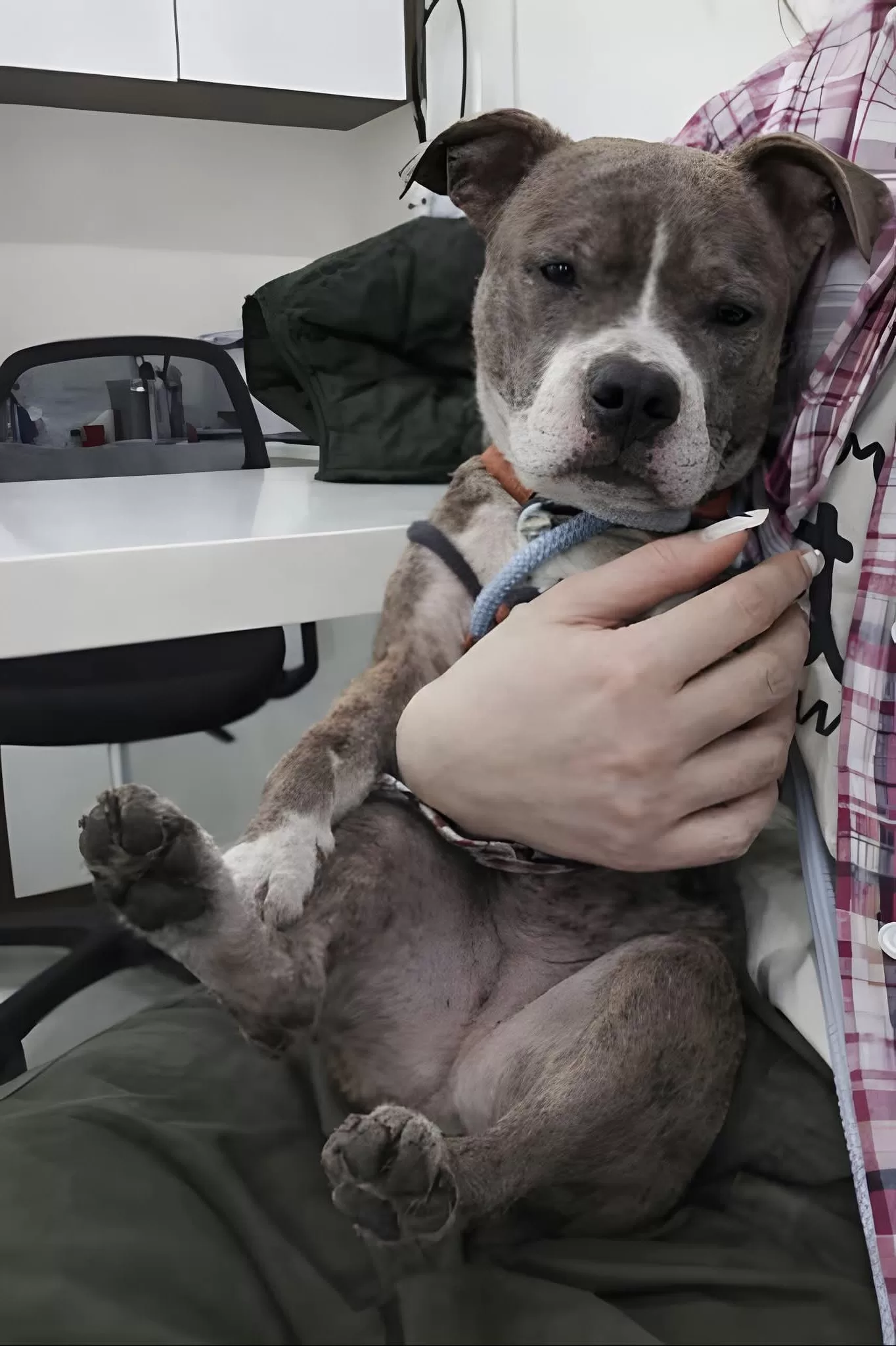 When Violence Tries to Break a Soul, and Love Refuses to Let It