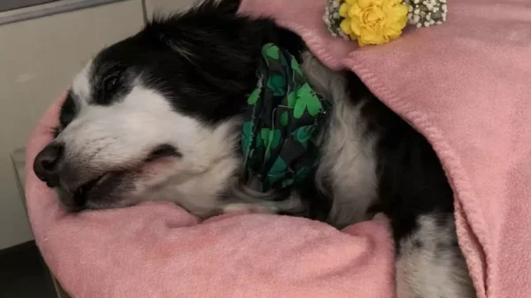 The last day of year 2025 took everything, it didn’t just end