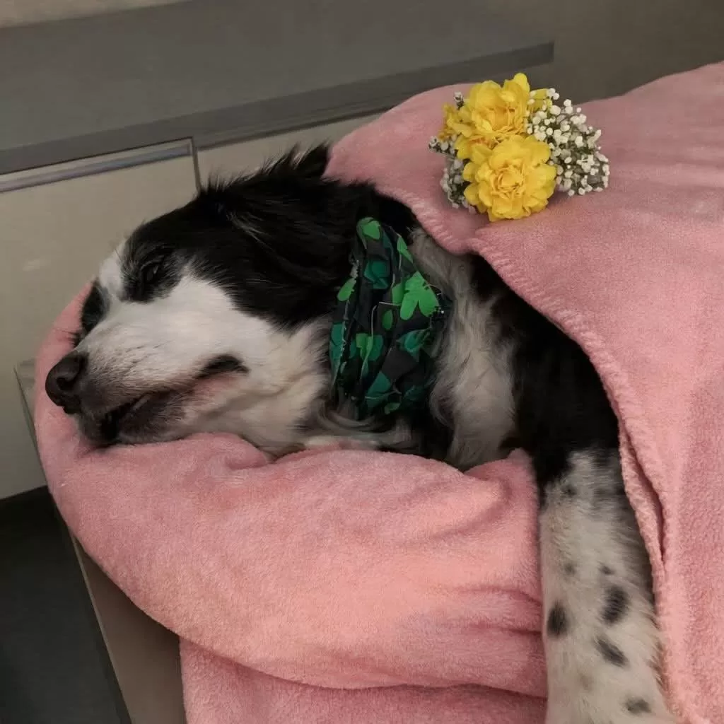 The last day of year 2025 took everything, it didn’t just end