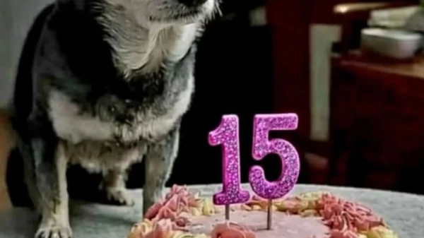 Happy 15th Birthday to Lola