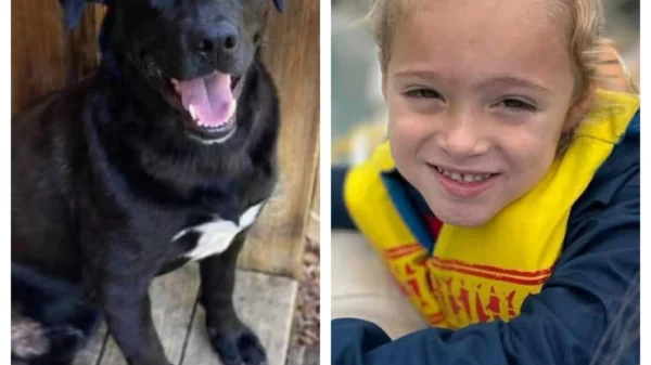 A Loyal Dog’s Love Until the Very End