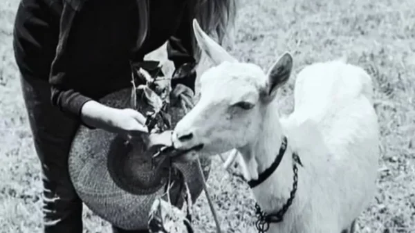 A Turning Point in 1973