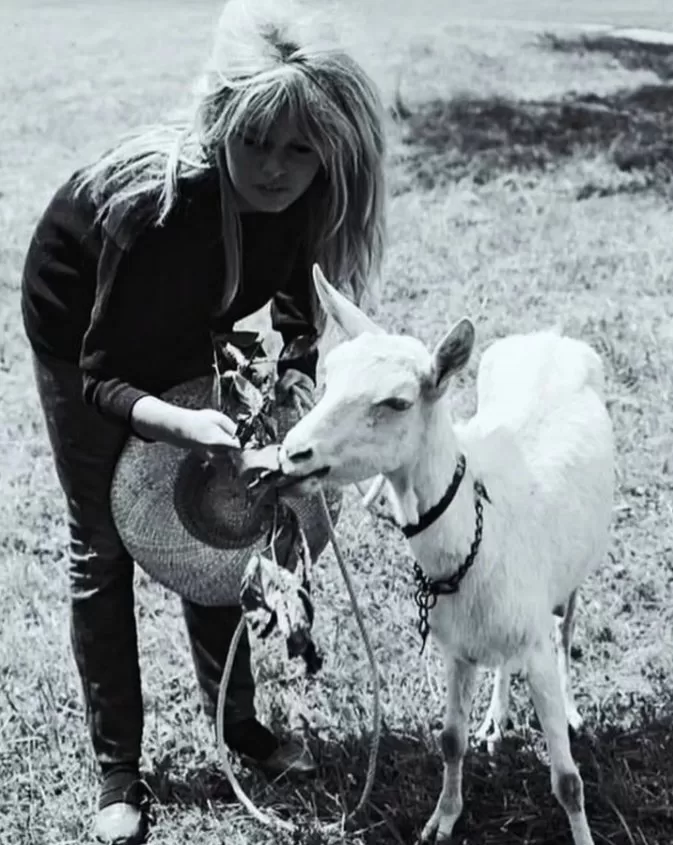 A Turning Point in 1973