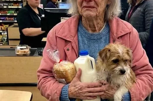 I Paid for a Struggling Grandma at the Grocery Store and Her Final Request Changed My Life
