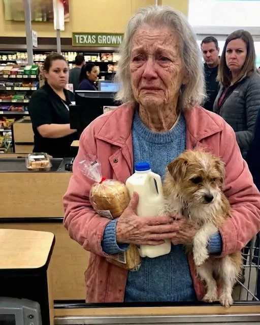 612603771_122212077446337250_777459862107558383_n