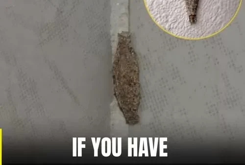 They Threw Me and My Newborn Into a Snowstorm, and Twenty-Four Hours Later Everything Changed