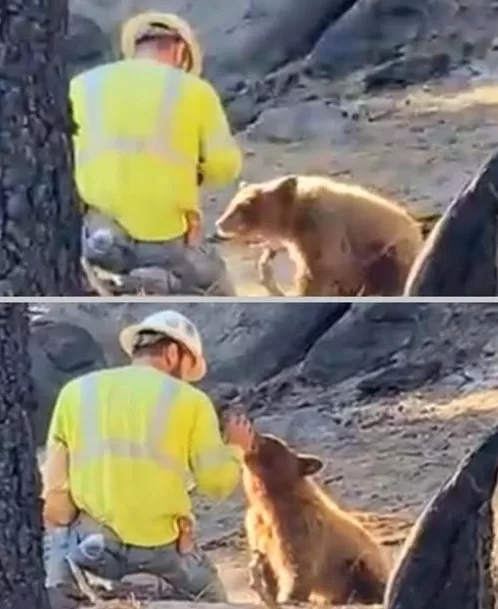 613078915_1196716779302391_6686650263830251327_n