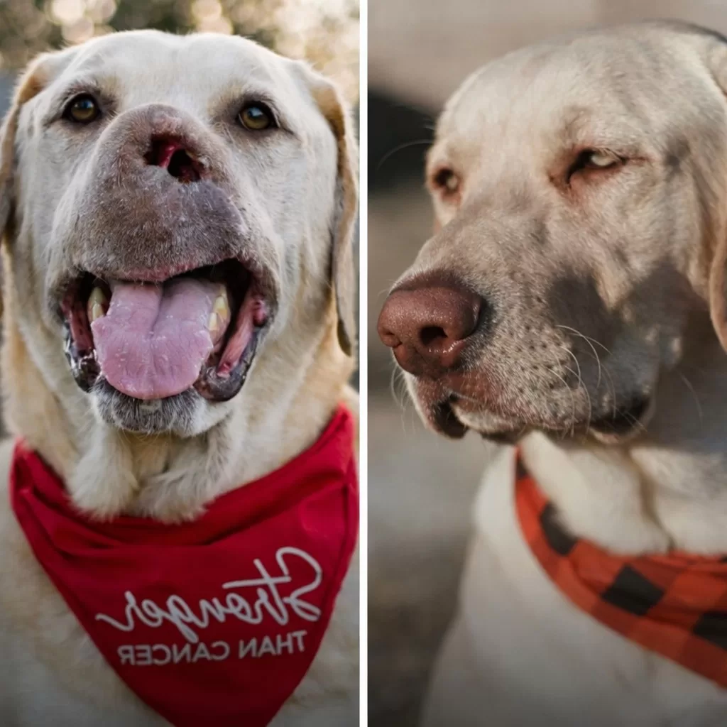 When Love Means Staying, No Matter the Cost