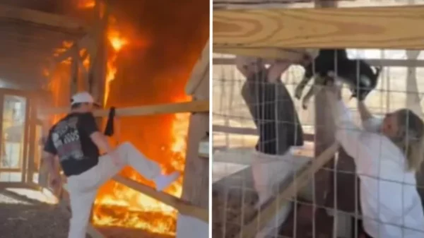 How One Moment of Action Saved Lives