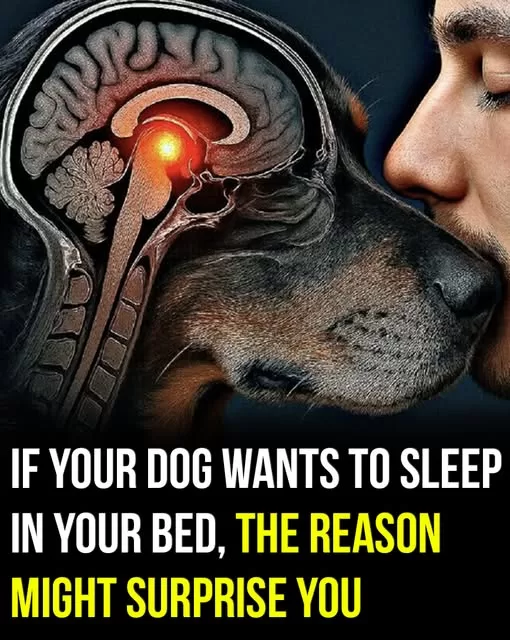 615511155_122213228966337250_3561730933208024694_n