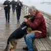 Police Ordered a K9 to Attack an Elderly Veteran, but the Dog’s Choice Changed Everything