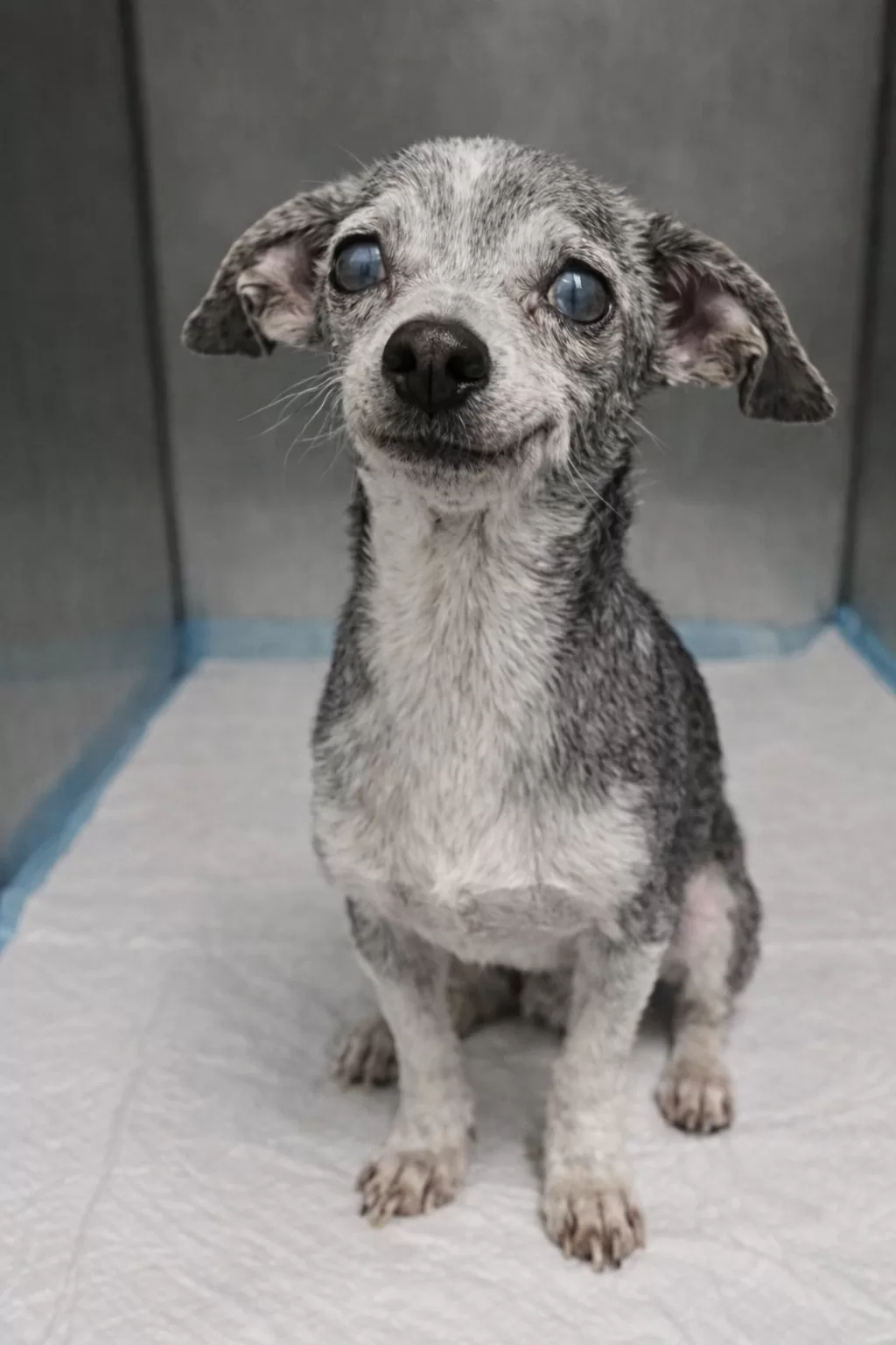 Surrendered at Twelve, She Found a Quiet Ending Filled With Love