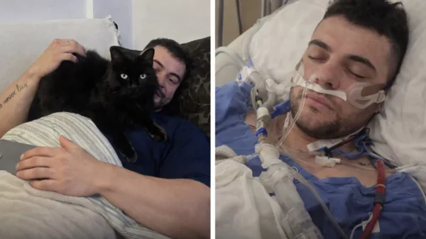 Brazilian Bodybuilder Kadu Santos Dies at 31 After Stroke Following Emotional Trauma Brazilian Bodybuilder Kadu Santos Dies at 31 After Stroke Following Emotional Trauma