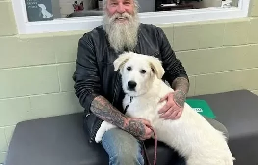He Stopped His Harley at 3 AM and Found a Dying Dog With a Child’s Prayer Around Her Neck