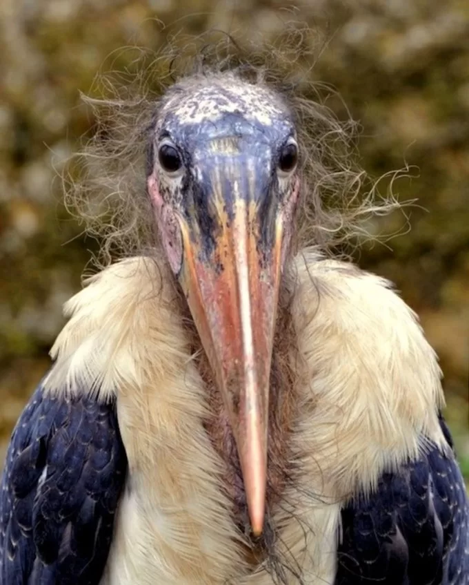 576848098_1149410247366378_2980468029106569155_n