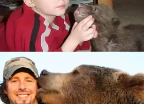The Extraordinary Friendship of Casey Anderson and Brutus
