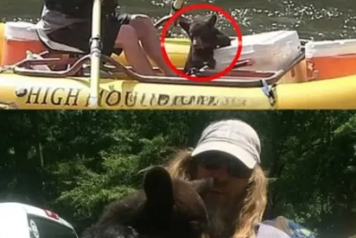 The Orphaned Cub Who Chose to Trust a Stranger The Orphaned Cub Who Chose to Trust a Stranger