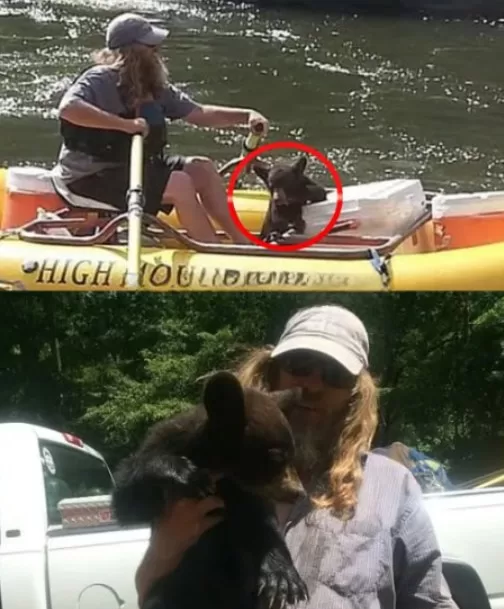 The Orphaned Cub Who Chose to Trust a Stranger