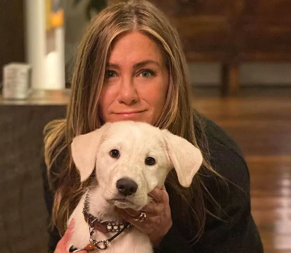 Jennifer Aniston Launches the Clydeo Fund to Support Animal Shelters Worldwide