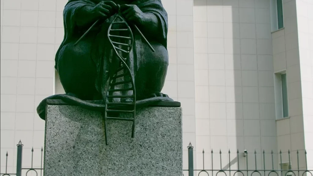 A Silent Tribute to the Lives Behind Scientific Progress