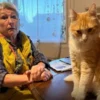 The French Court Case That Put a Cat Under House Arrest