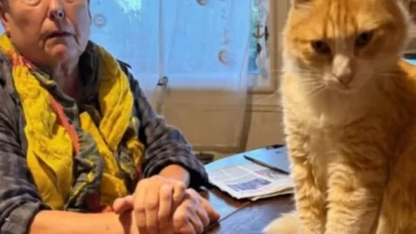 The French Court Case That Put a Cat Under House Arrest